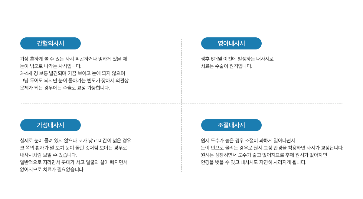 사시의 종류 알아보기 +